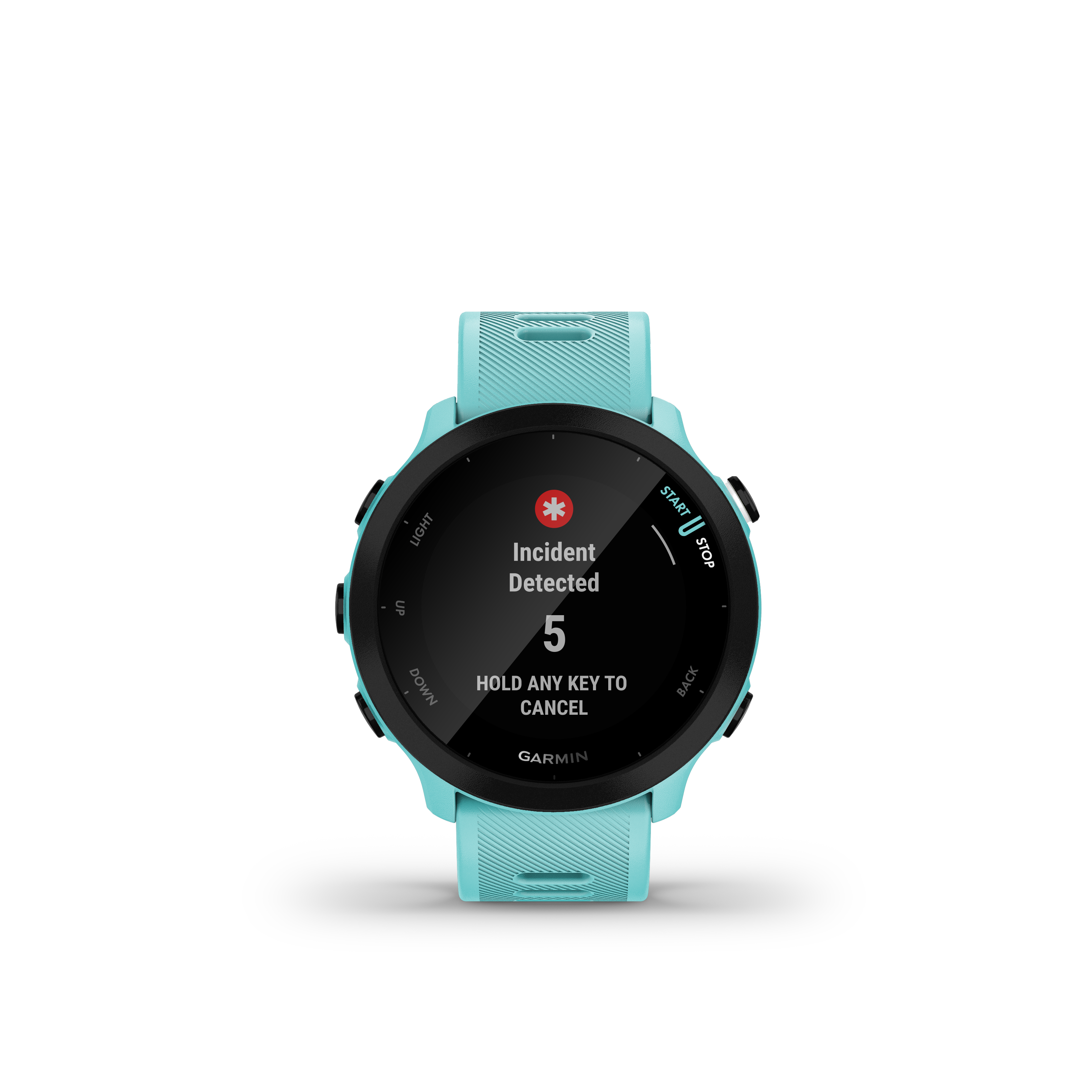 Garmin Forerunner 55 Blue