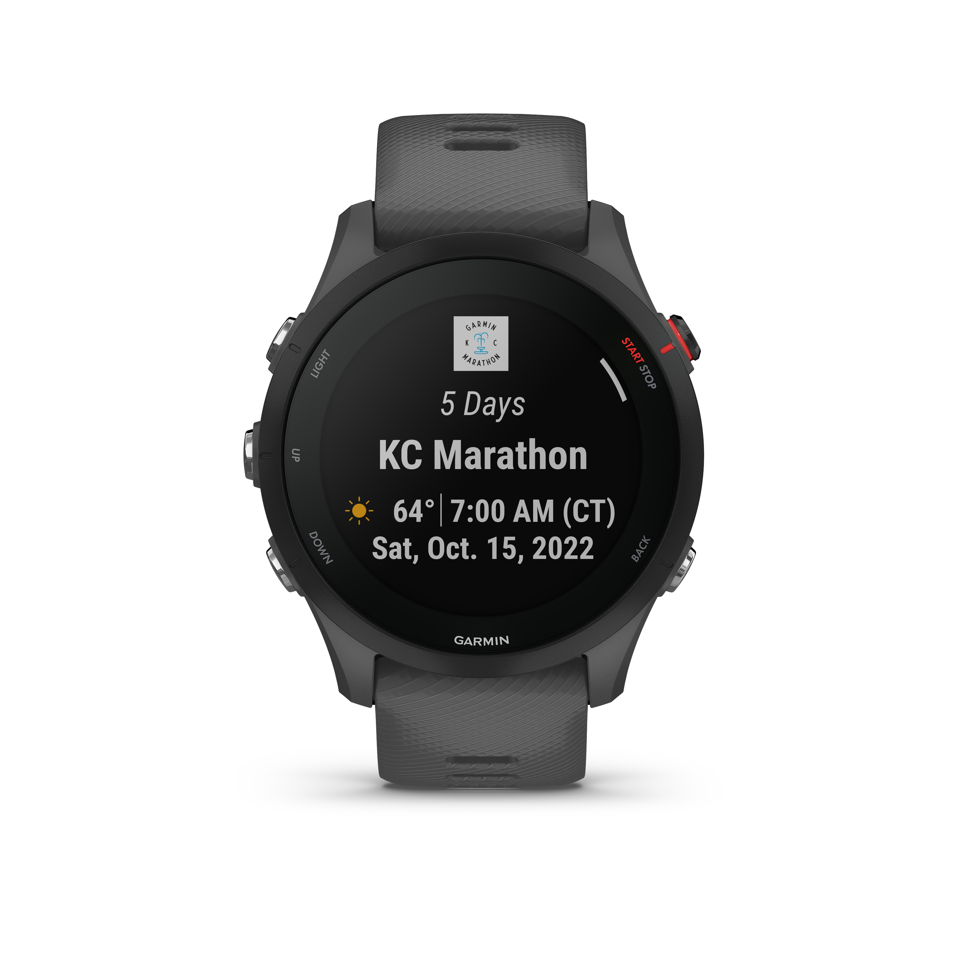 Garmin Forerunner 255 - Slate Gray