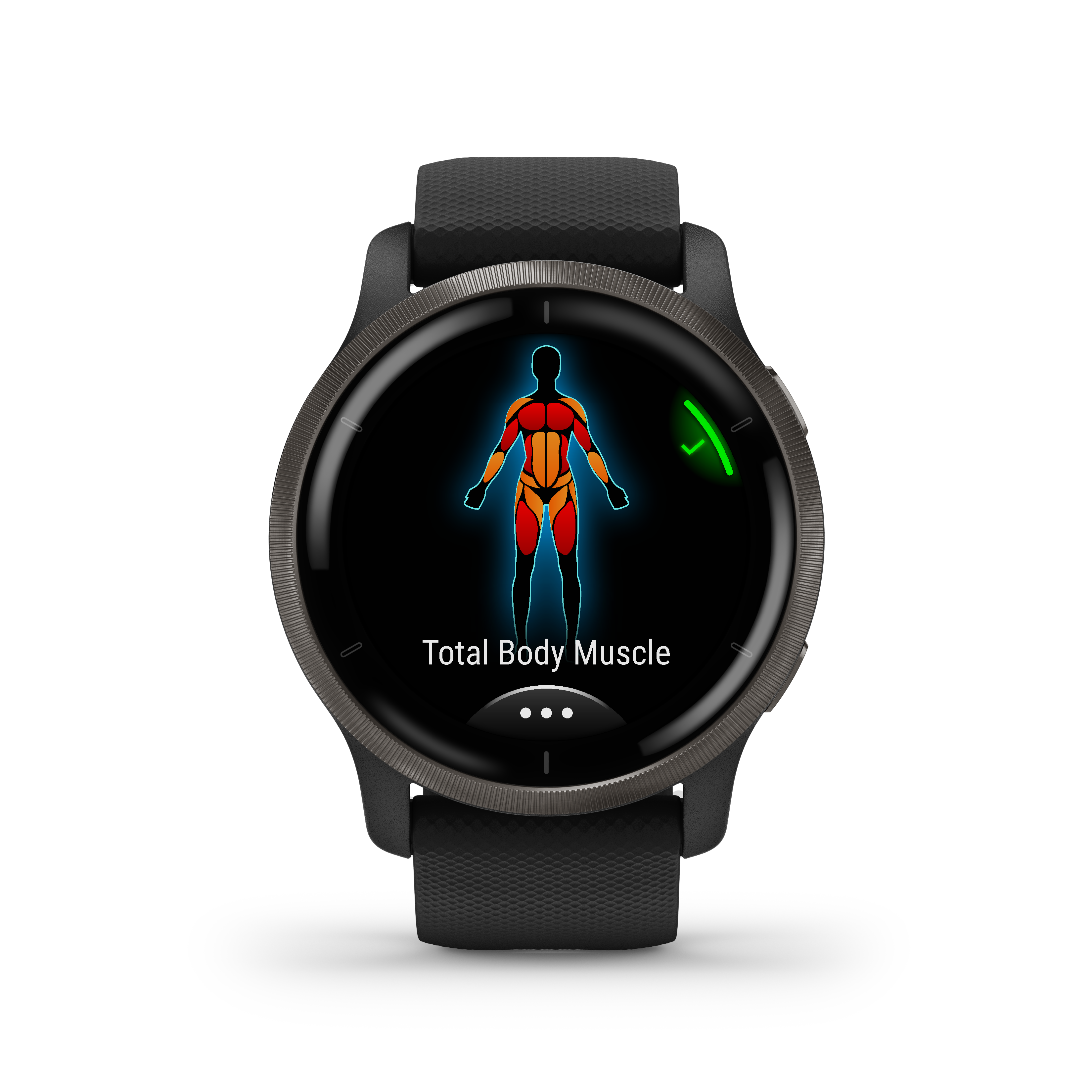 Garmin Venu 2 45mm Smartwatch Noir