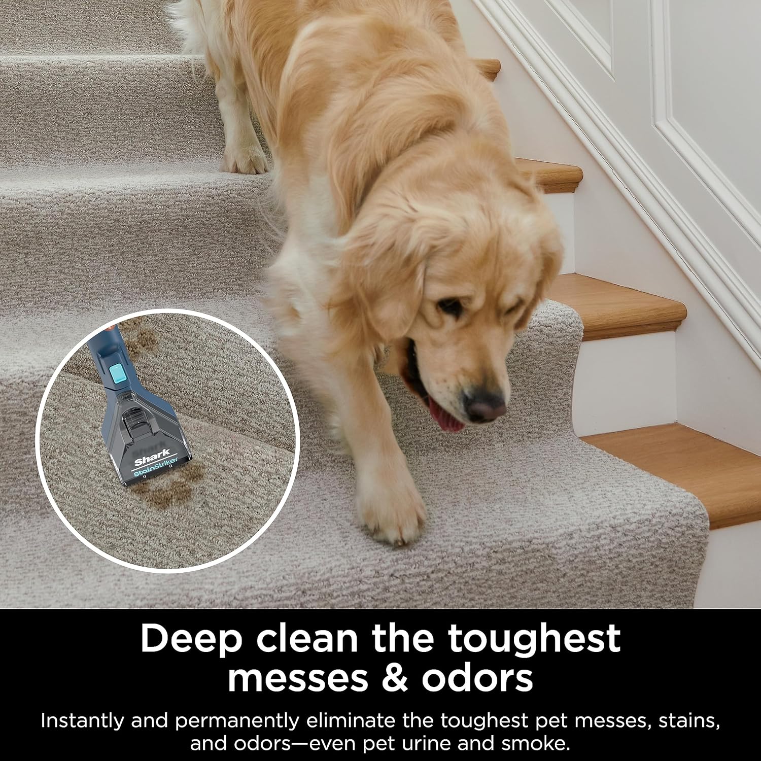 Shark PX200C Stain Striker Portable Carpet & Upholstery Cleaner