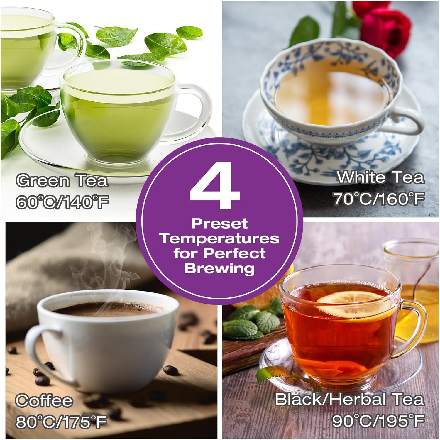 Salton Temperature Control Kettle & Tea Steeper 1.7 L