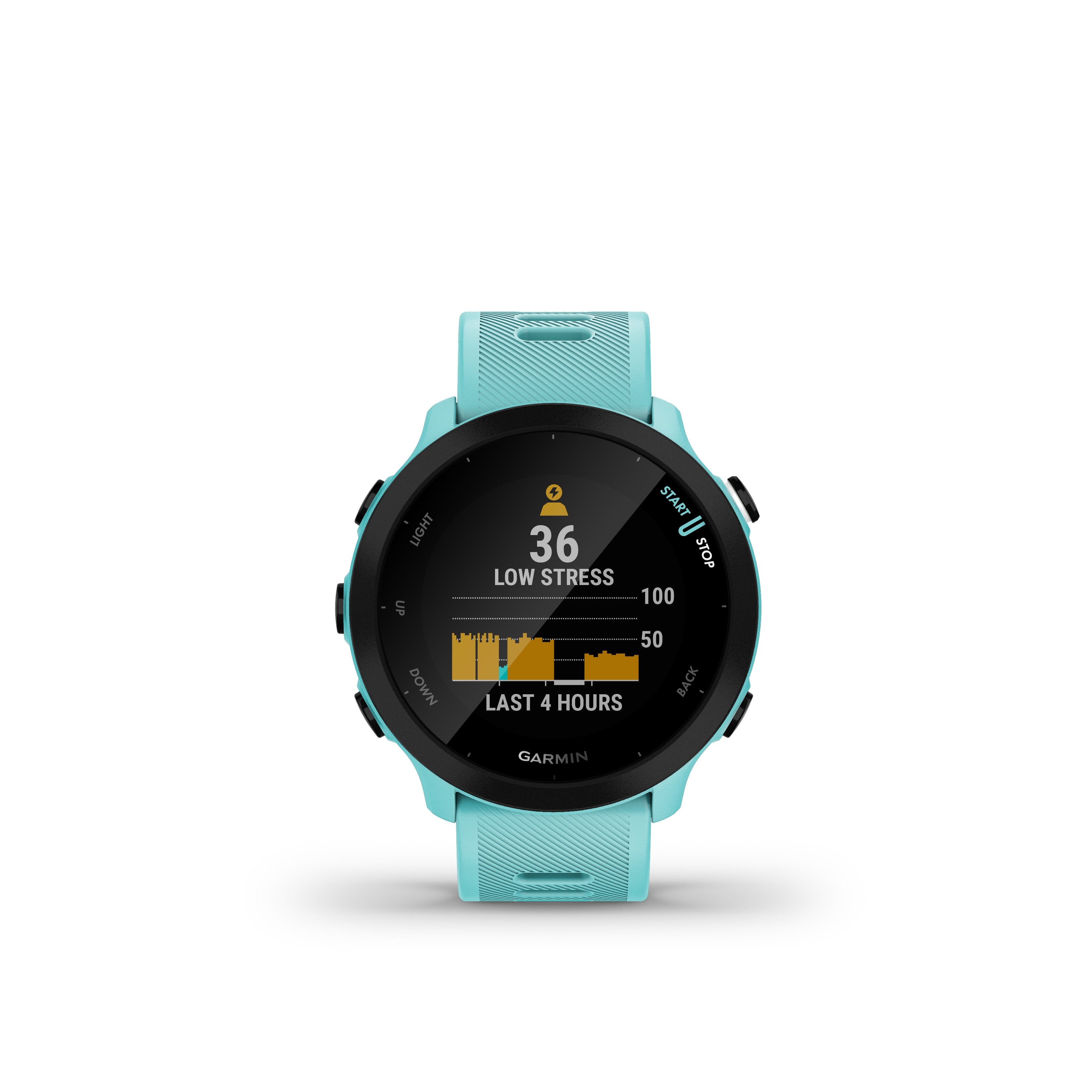 Garmin Forerunner 55 Blue