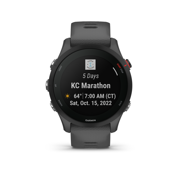 Garmin Forerunner 255 - Slate Gray