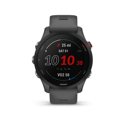 Garmin Forerunner 255 - Slate Gray