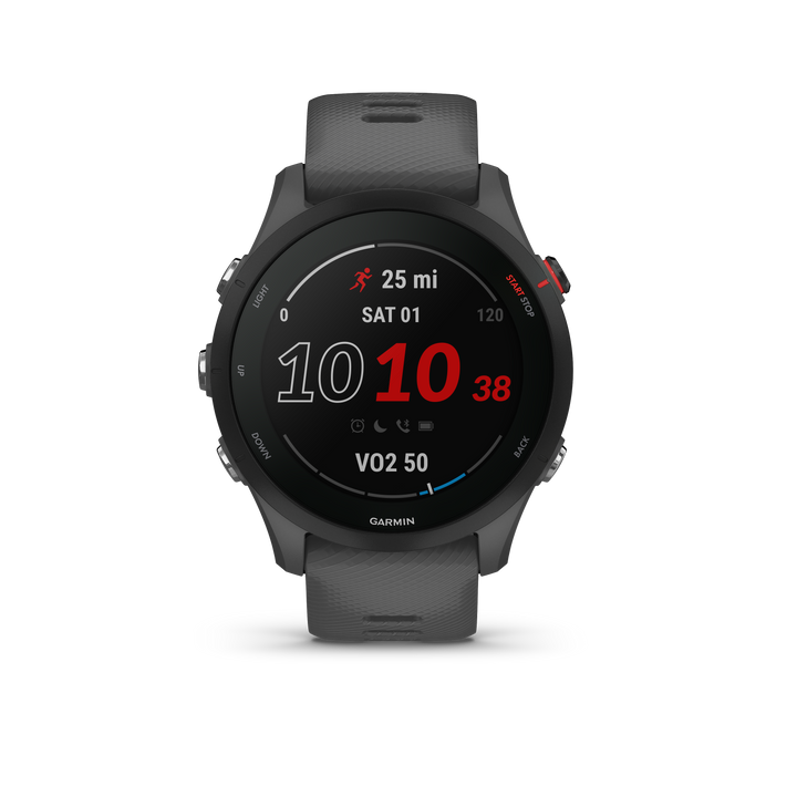 Garmin Forerunner 255 - Slate Gray