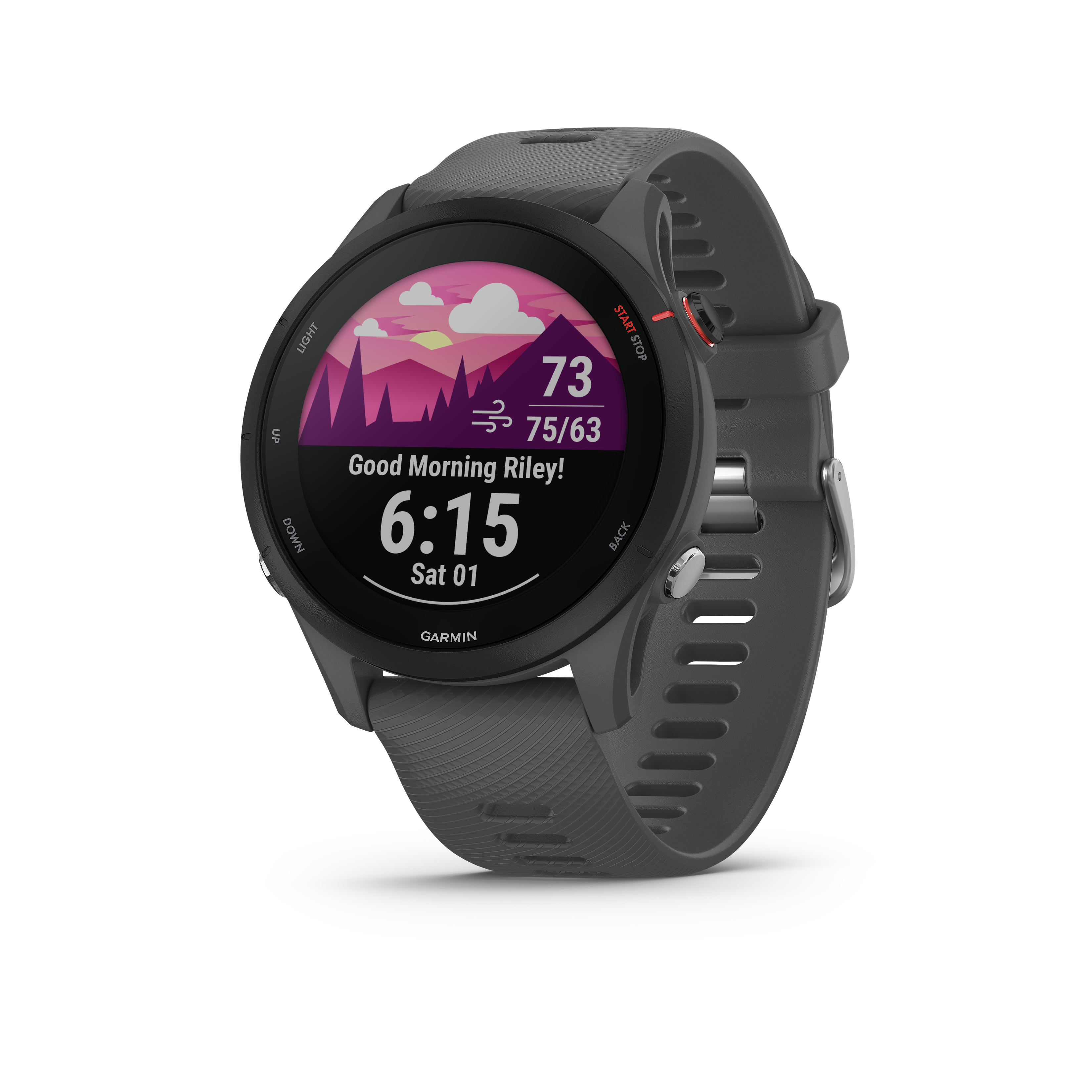 Garmin Forerunner 255 - Slate Gray