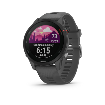 Garmin Forerunner 255 - Slate Gray