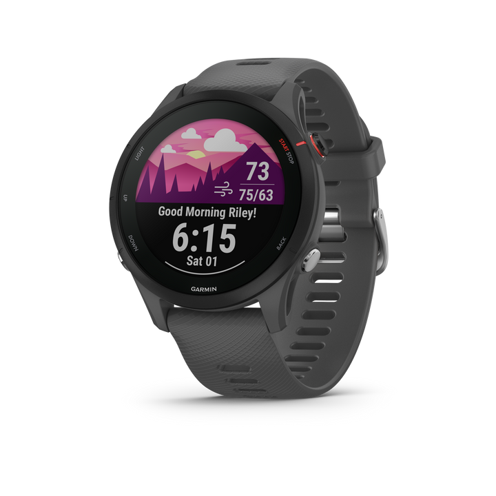 Garmin Forerunner 255 - Slate Gray