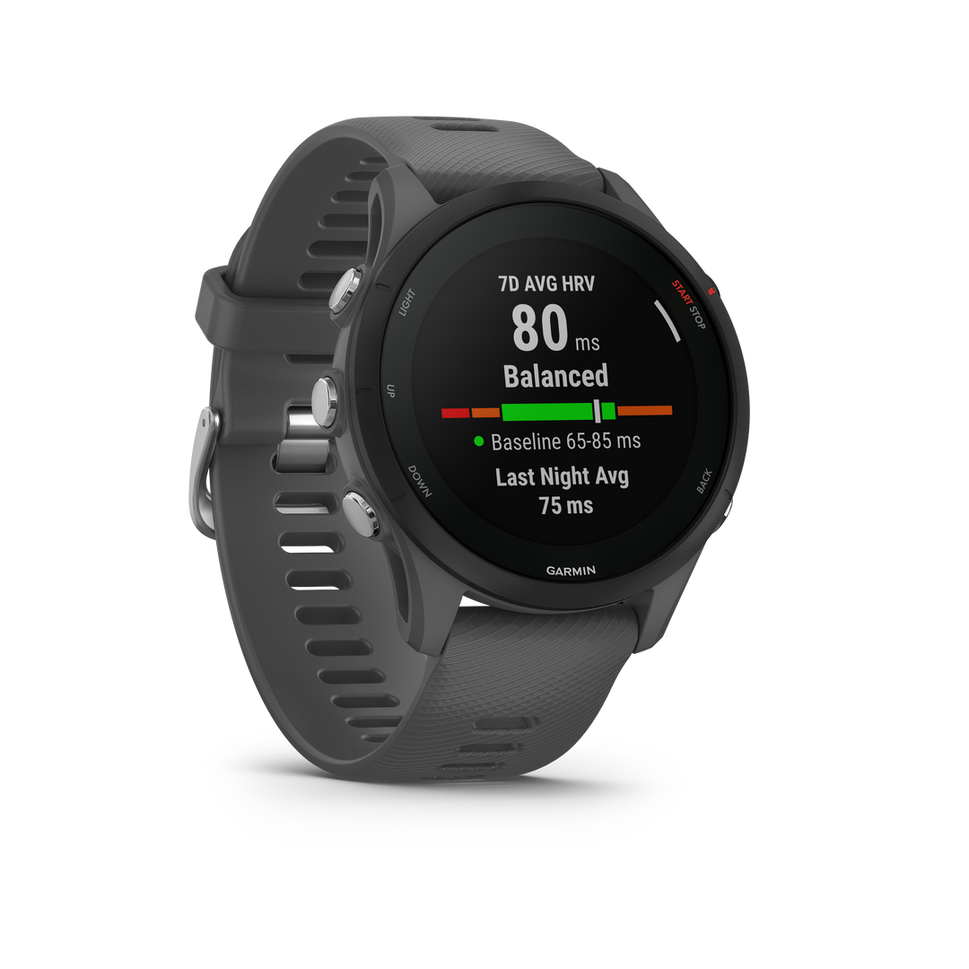 Garmin Forerunner 255 - Slate Gray