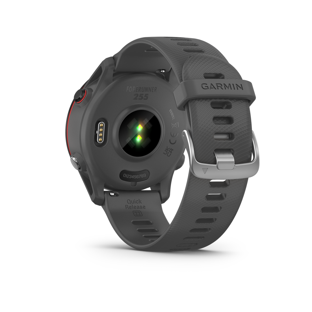 Garmin Forerunner 255 - Slate Gray