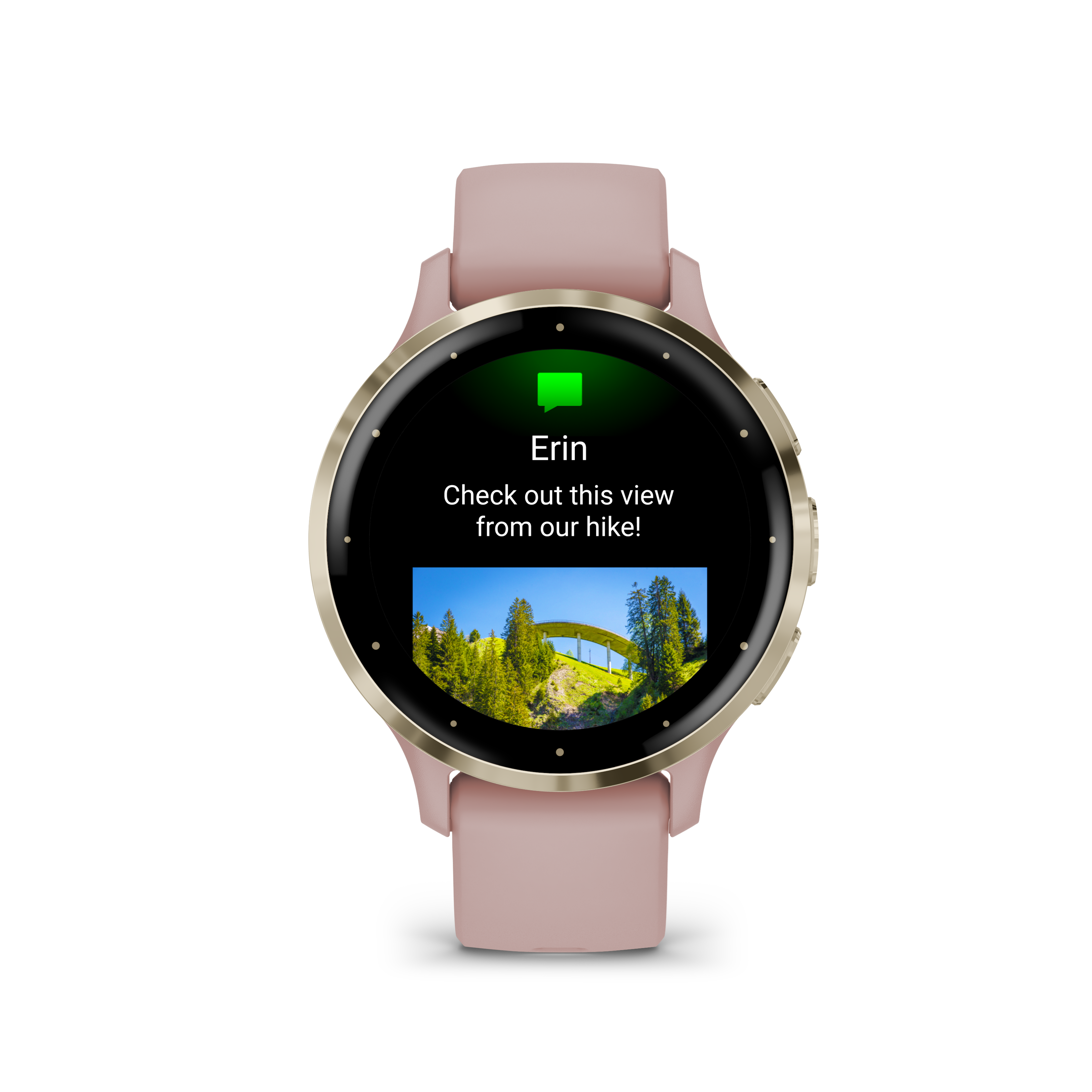 Garmin-Venu 3S Soft Gold Stainless Steel Bezel with Dust Rose Case and Silicone Band