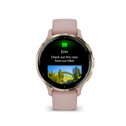 Garmin-Venu 3S Soft Gold Stainless Steel Bezel with Dust Rose Case and Silicone Band