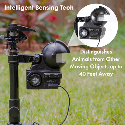 Arroseur motorisé Orbit Yard Enforcer