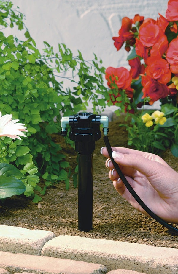 Manifold Orbit Quad Full-Flow - Pack de 3